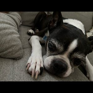 Meet your Posher, Faith